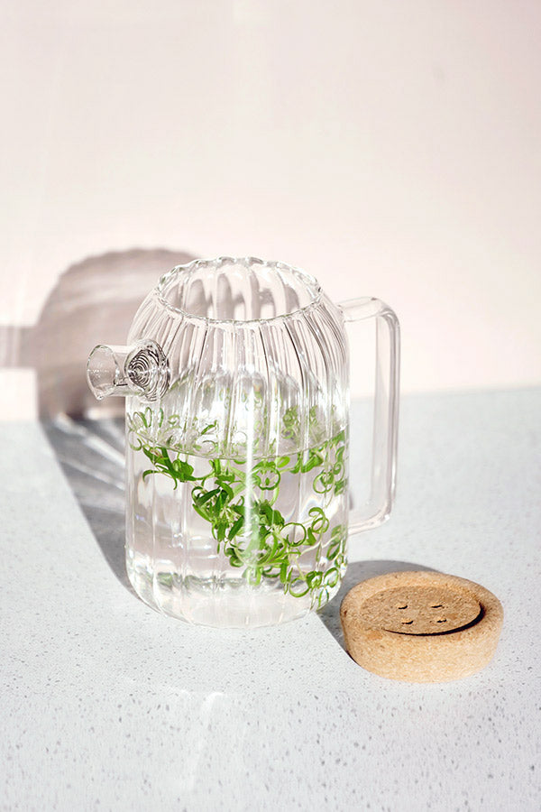 JARRA DE VIDRO CANELADA COSI- 1L