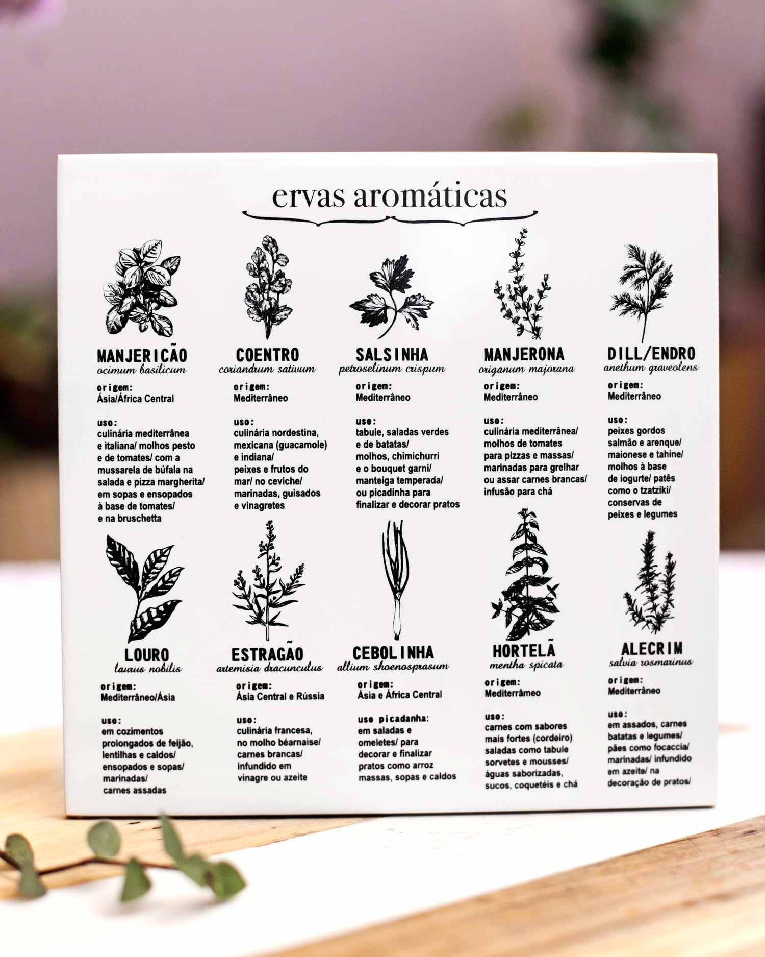 AZULEJO GUIA- ERVAS AROMÁTICAS