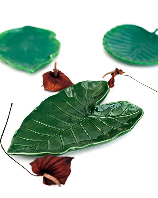 PETISQUEIRA LEAF